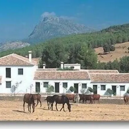 Rural El Horcajo De Ronda