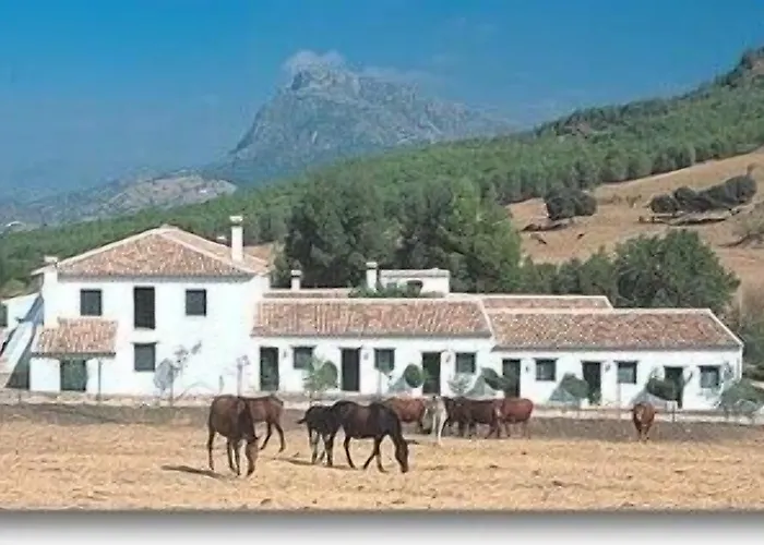 Rural El Horcajo De Ronda